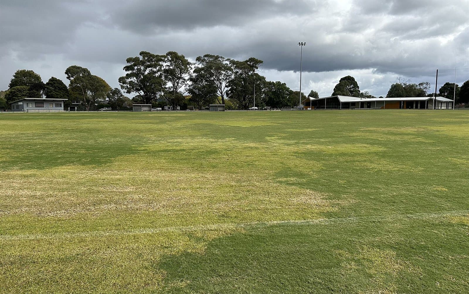 A grassed sports oval with a line of trees and buildings beyond